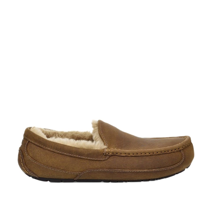 Men'S Shoes UGG | Ugg Men'S Ascot In Tan