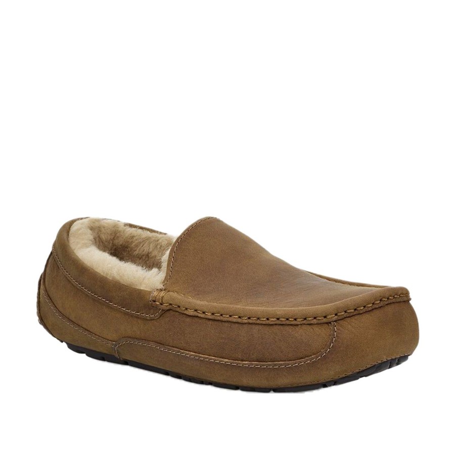 Men'S Shoes UGG | Ugg Men'S Ascot In Tan