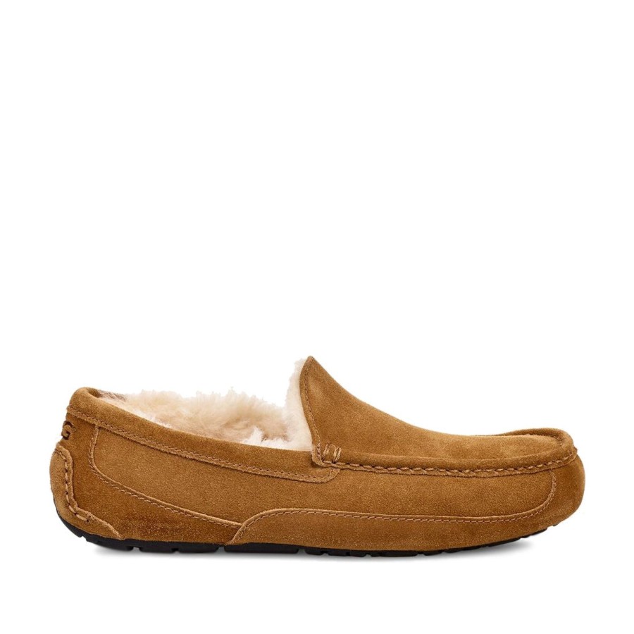 Men'S Shoes UGG | Ugg Men'S Ascot In Chestnut