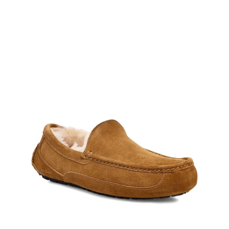 Men'S Shoes UGG | Ugg Men'S Ascot In Chestnut