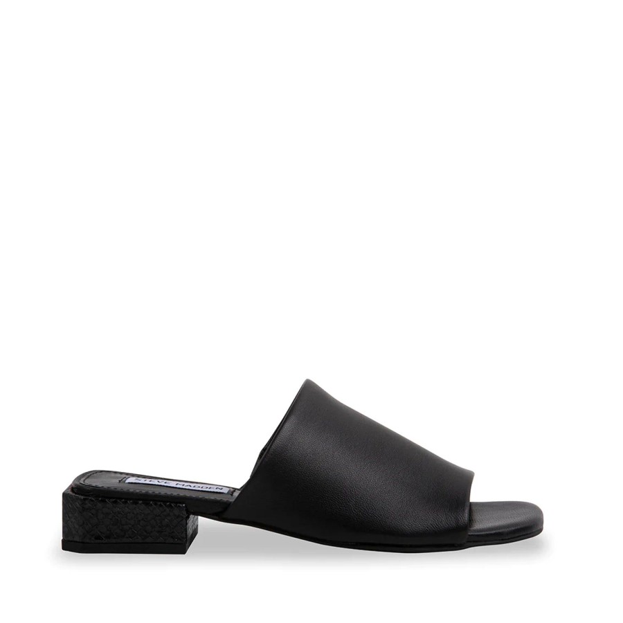 Women'S Shoes Steve Madden | Steve Madden Women'S Anders In Black